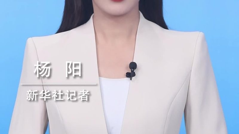 数据治理与数据质量：构建高质量数据关系平台的要义